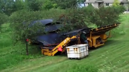 Kiraz Toplama Makinası  - Cherry Picking Machine