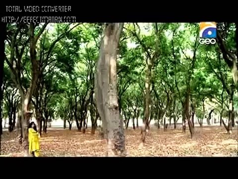 jo chaley tou jaan sey guzar gaye fulll edited ost (zara)