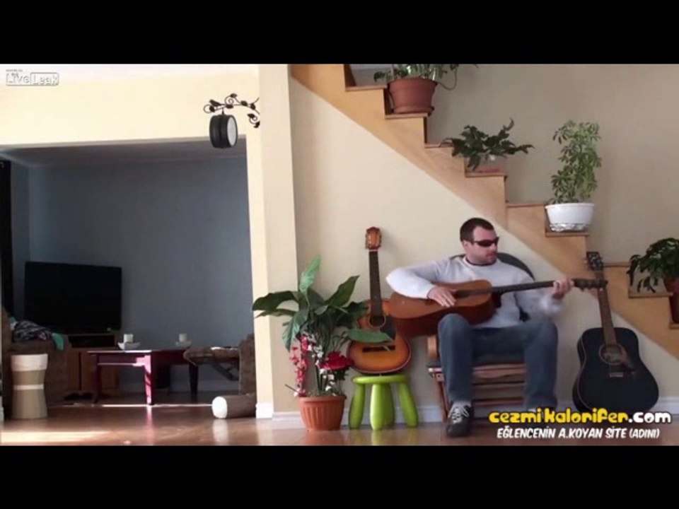 Yerinden Edilen Kedinin İntikamı