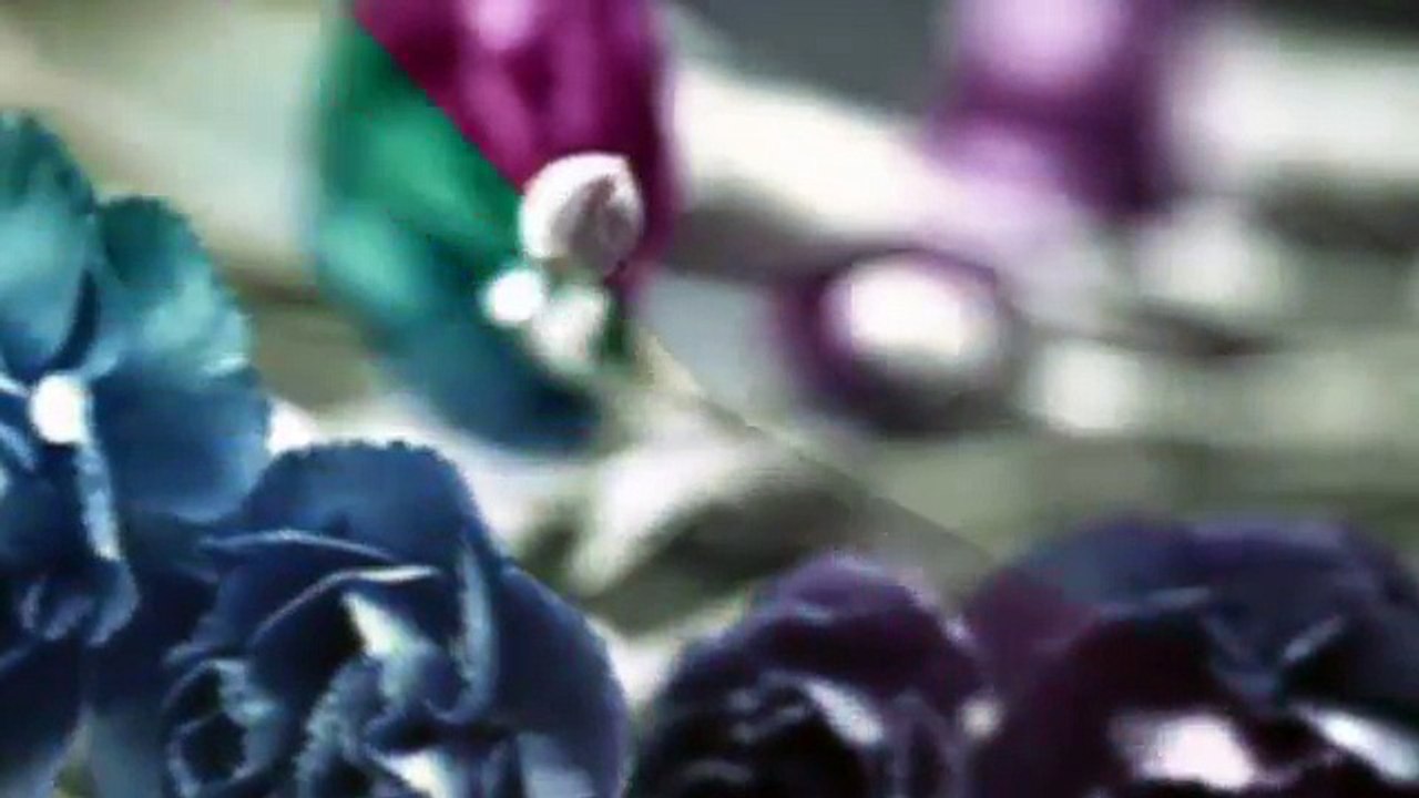 Muazzez Ersoy ♫♥♪ Haberin Varmı Seni Çok Sevdiğimden ♫♥♪
