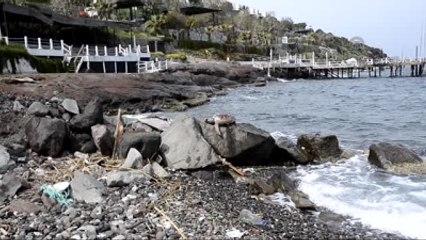 Bodrum'da Sahilde Ölü Caretta Caretta Bulundu