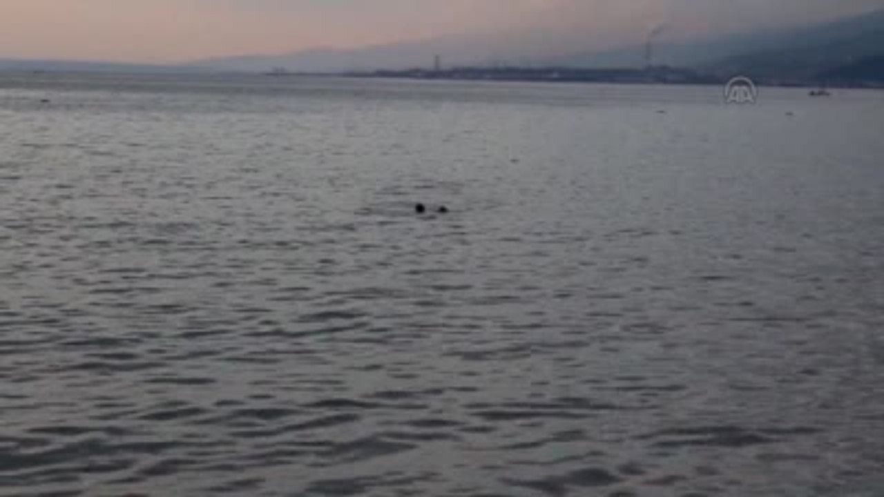 Suriyeli Çocukların Deniz Keyfi