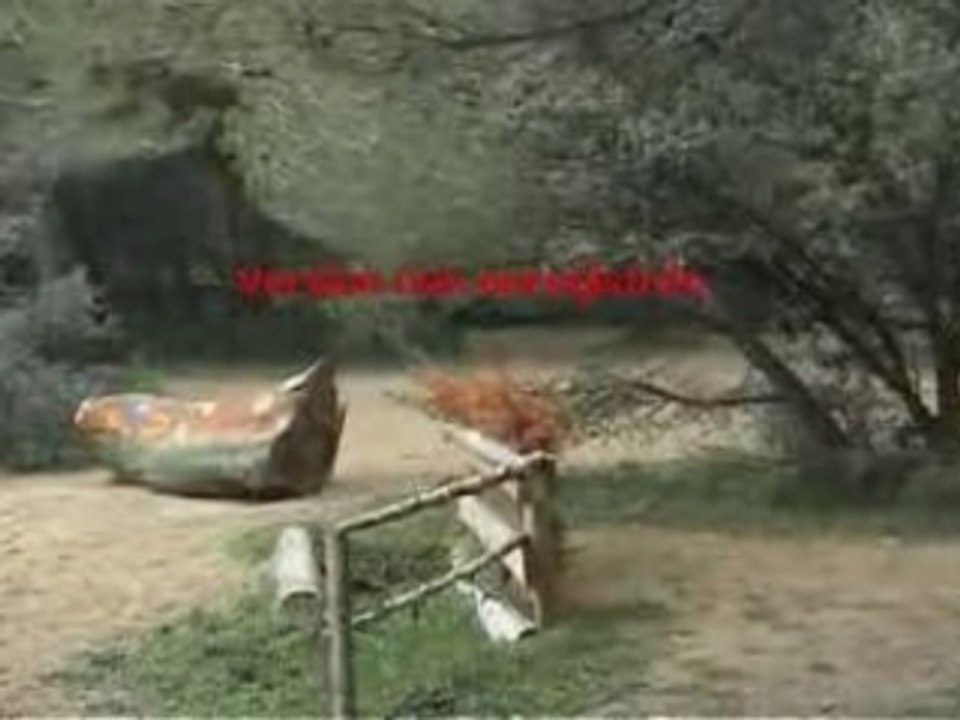 cross cornillon tronc