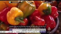 جولة الأسواق..جولة في سوق في محافظة الجيزة المصرية