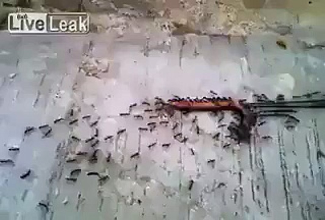 Its Team work, Amazing video