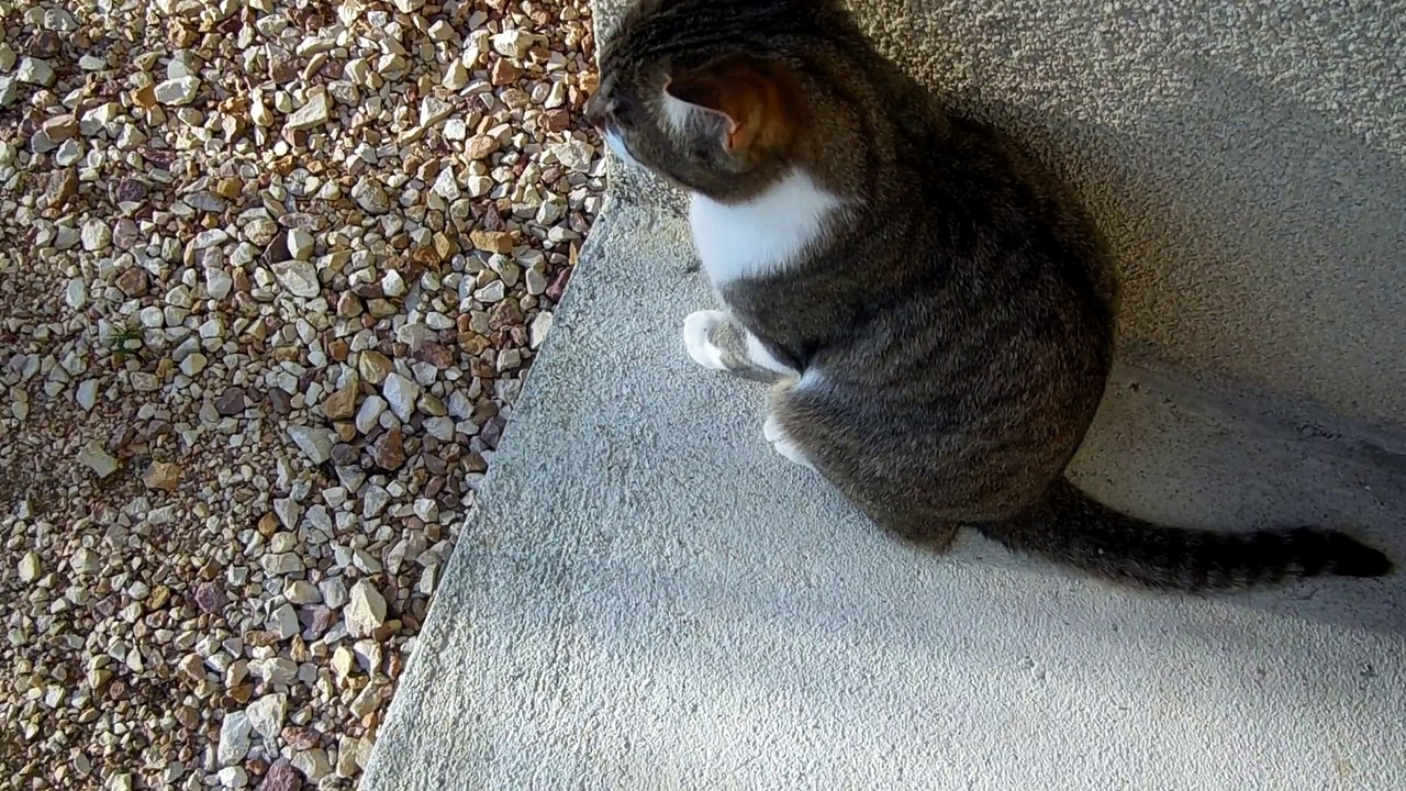 Ioka dehors au soleil....