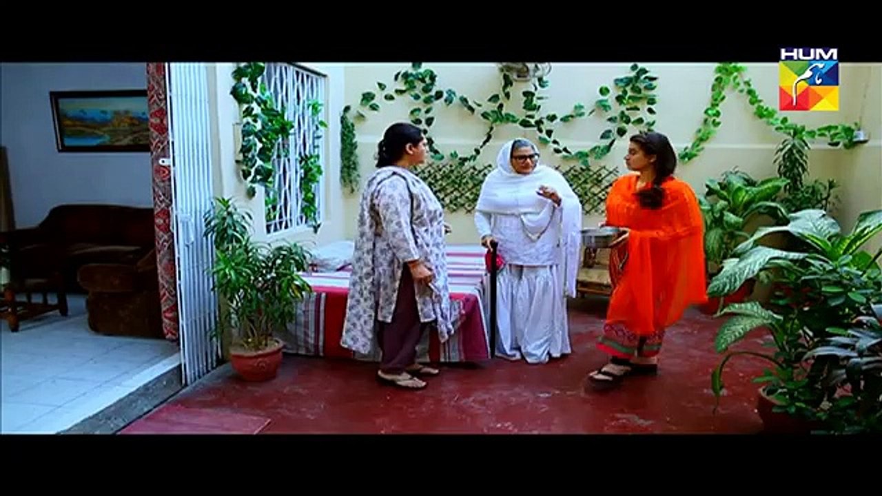 Sartaj Mera Tu Raaj Mera Episode 14 Full on HUM TV - 17 March