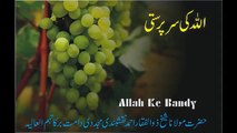 Qissa Allah Ki Serparsti by Maulana Zulfiqar Ahmad Naqshbandi - PlayItpk