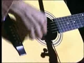 Buffalo gilles (Kad et olivier)