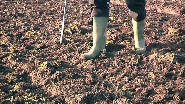 Bagger uit de Eems is het nieuwe goud - RTV Noord