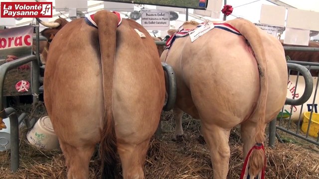 16ème Festival Boeufs Gras de Pâques Laguiole