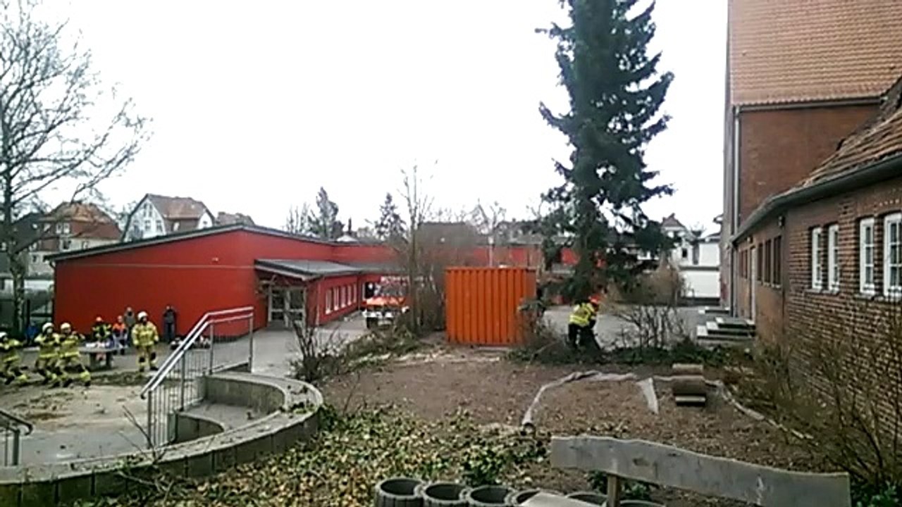 Baum-Fäll-Aktion 14.03.15