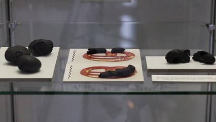 Lecker schmecker! 250 Jahre alte verkohlte Brezel in Regensburg gefunden