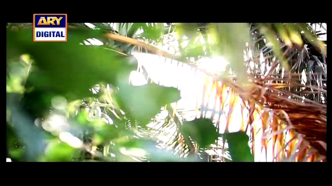 Parvarish Last Episode 23 Full on Ary Digital 17 March 2015