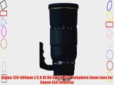 Sigma 120-300mm f/2.8 EX DG IF HSM APO Telephoto Zoom Lens for Canon SLR Cameras