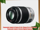 Panasonic Lumix G X Vario PZ 45-175mm/F4.0-5.6 Lens for Panasonic Lumix G-Series Digital Cameras