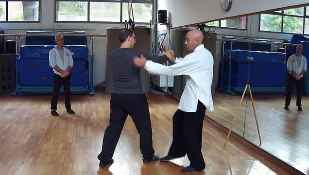 I SEGRETI DEL TAIJI QUAN: LE 4 ONCE - M° FLAVIO DANIELE