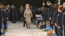 Queen declines offer of corgi at Battersea Dogs and Cats Home