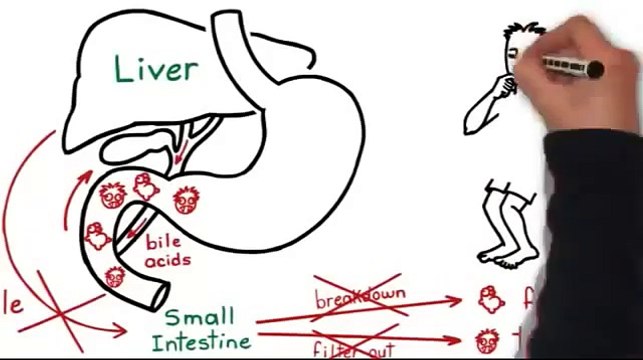 Perder Barriga - Fator da Perda de Peso Revela como Perder Barriga