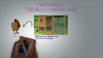 Chicken Coop - Building A Chicken Coop