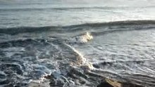 Black Sea Romania