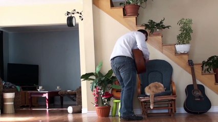 Chat Propriétaire Instant Karma / Cat Owner Instant Karma