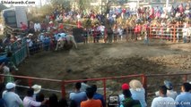 JARIPEO EXTREMO EN SAN MATEO TEPOPULA MEXICO 3 MONTAS ESPECTACULARES LOS JINETES MAS VALIENTES MONTAN TORO SALVAJE DE LA GANADERIA LOCAL MARZO 2015