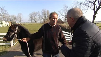 Peerden, schapen en ook nog een vrouw - RTV Noord