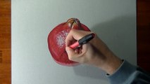 Drawing time lapse_ a pomegranate - hyperrealistic art