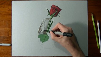 Drawing Time Lapse_ a red rose in glass vase