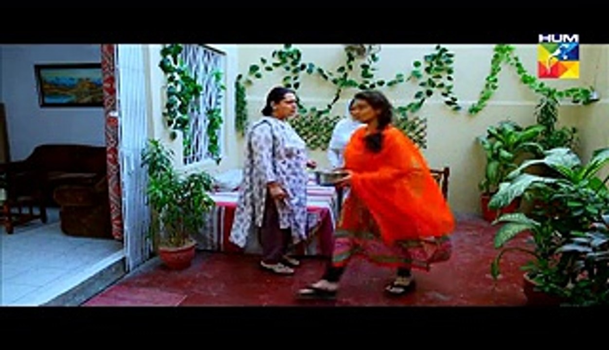 Sartaj Mera Tu Raaj Mera Episode 14 HUM TV Drama Mar 17,2015