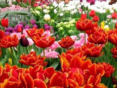 Весна идёт, весне дорогу !