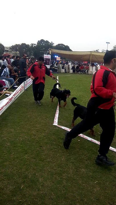 race cours park lahore pkistan