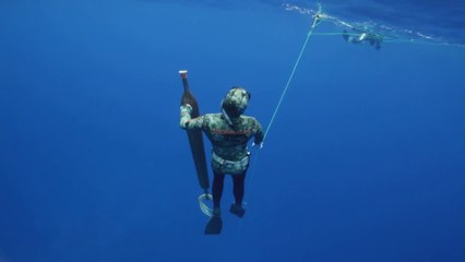 La Flèche & l'Epée