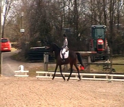 Manu et Umour, dressage amateur 3, CCE Rodez, 14 mars 2015