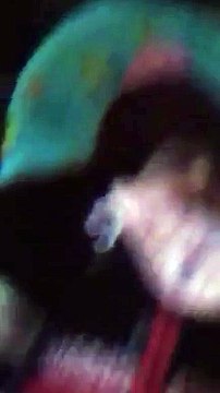 VID-20150316-WA0001.mp4