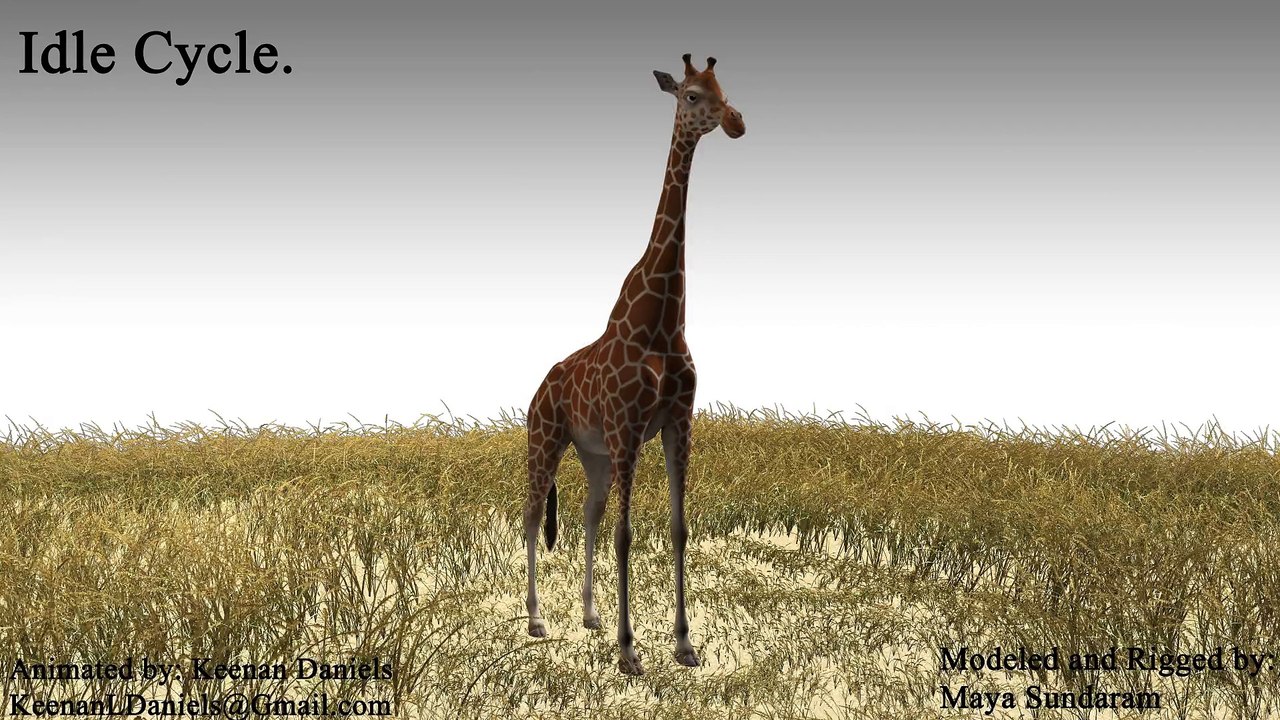 Giraffe Cycles