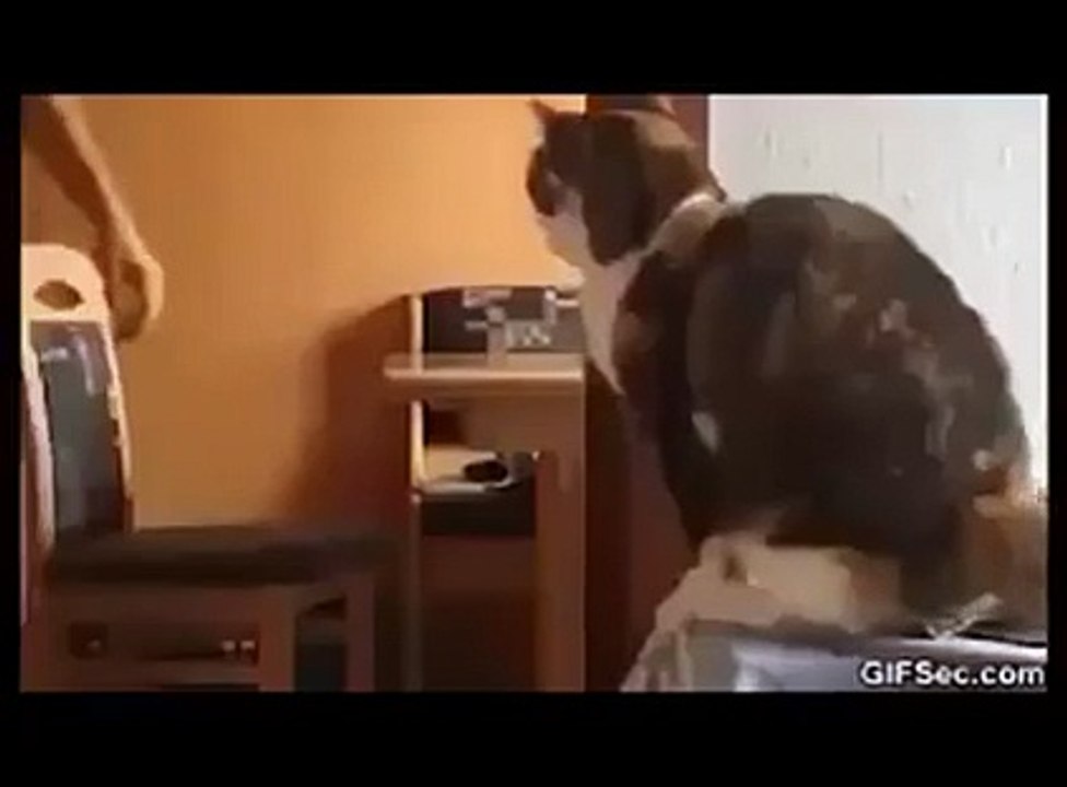 Give me five