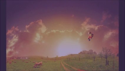 Vida, Morte, Eutanásia (videotexto)