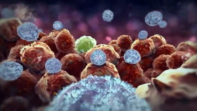 Symphony of Science - The Unbroken Thread (ft. Attenborough, Goodall, Sagan)