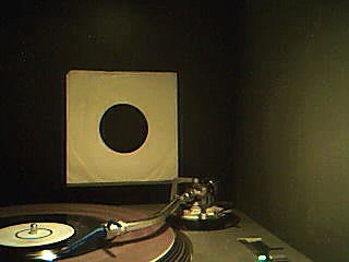 Black Gorilla - Funky Jungle