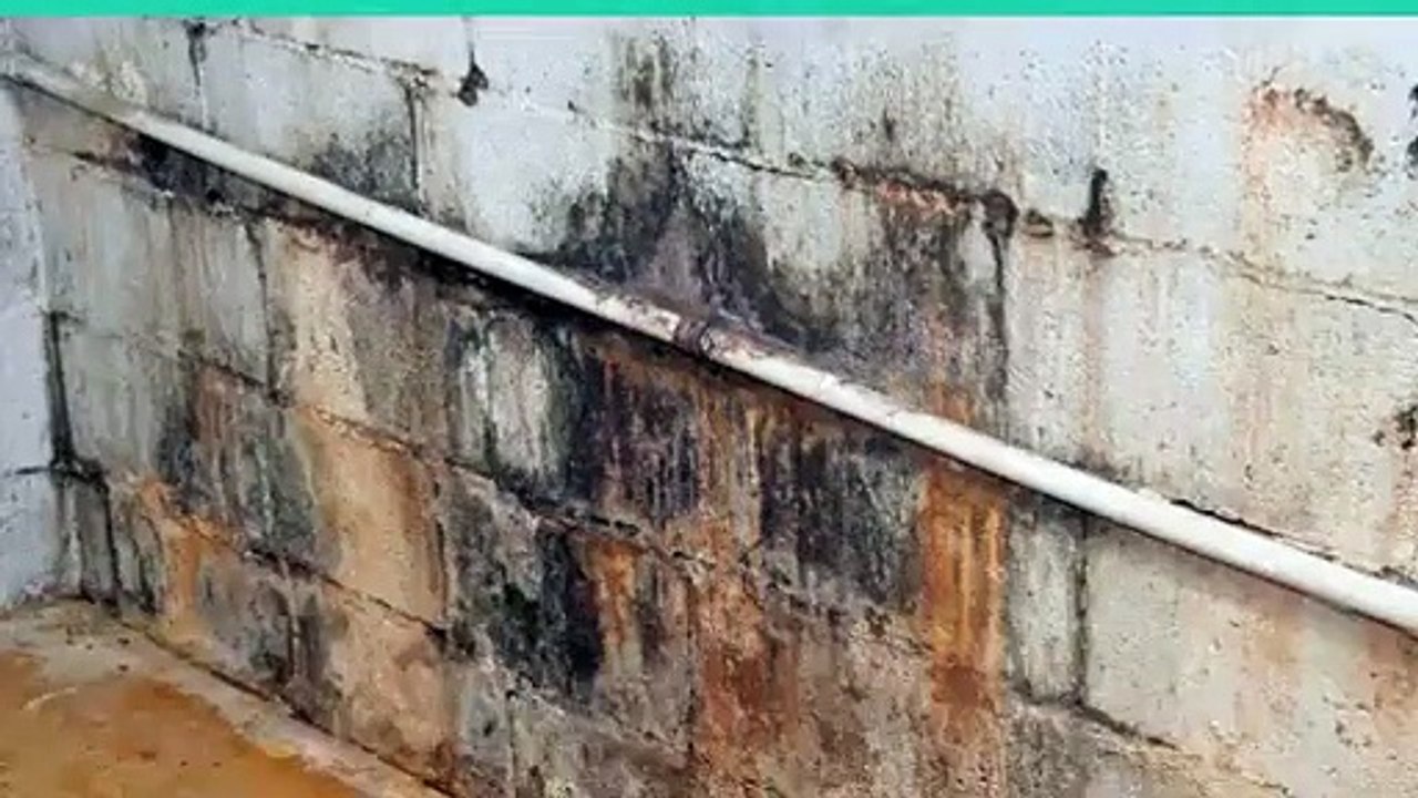 All-Pro Home Inspections, LLC