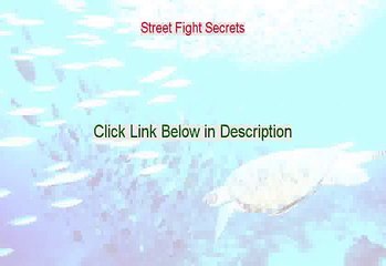 Street Fight Secrets Free Review (Watch my Review)