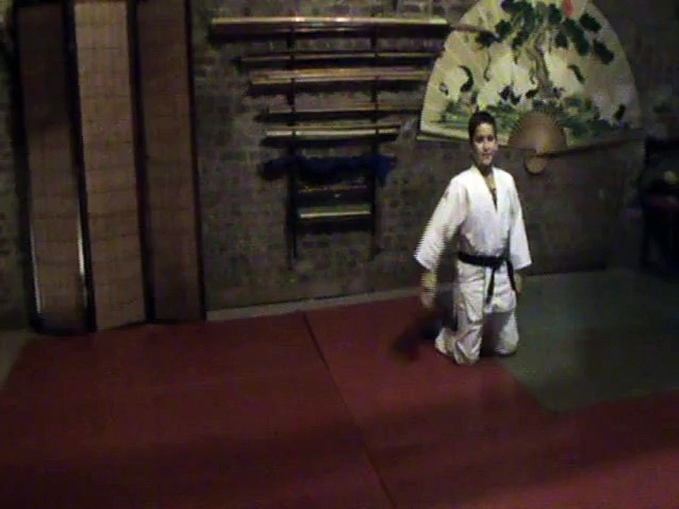 Suwari gedan yoko kaeten ukemi