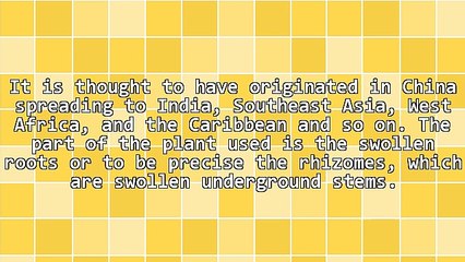 How To Have Defense Anti Inflammatory Recipes The Easy Way.