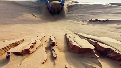 Playing in the sand (Sahara)
