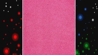 Garland Rug Shazaam Area Rug 4-Feet by 6-Feet Pink Diamond