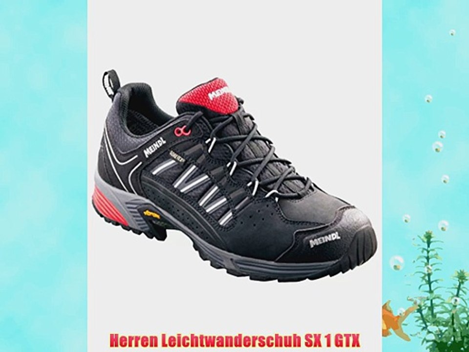 Herren Leichtwanderschuh SX 1 GTX