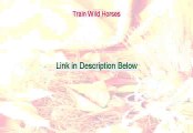 Train Wild Horses Review [how to train wild horses on youtube 2015]