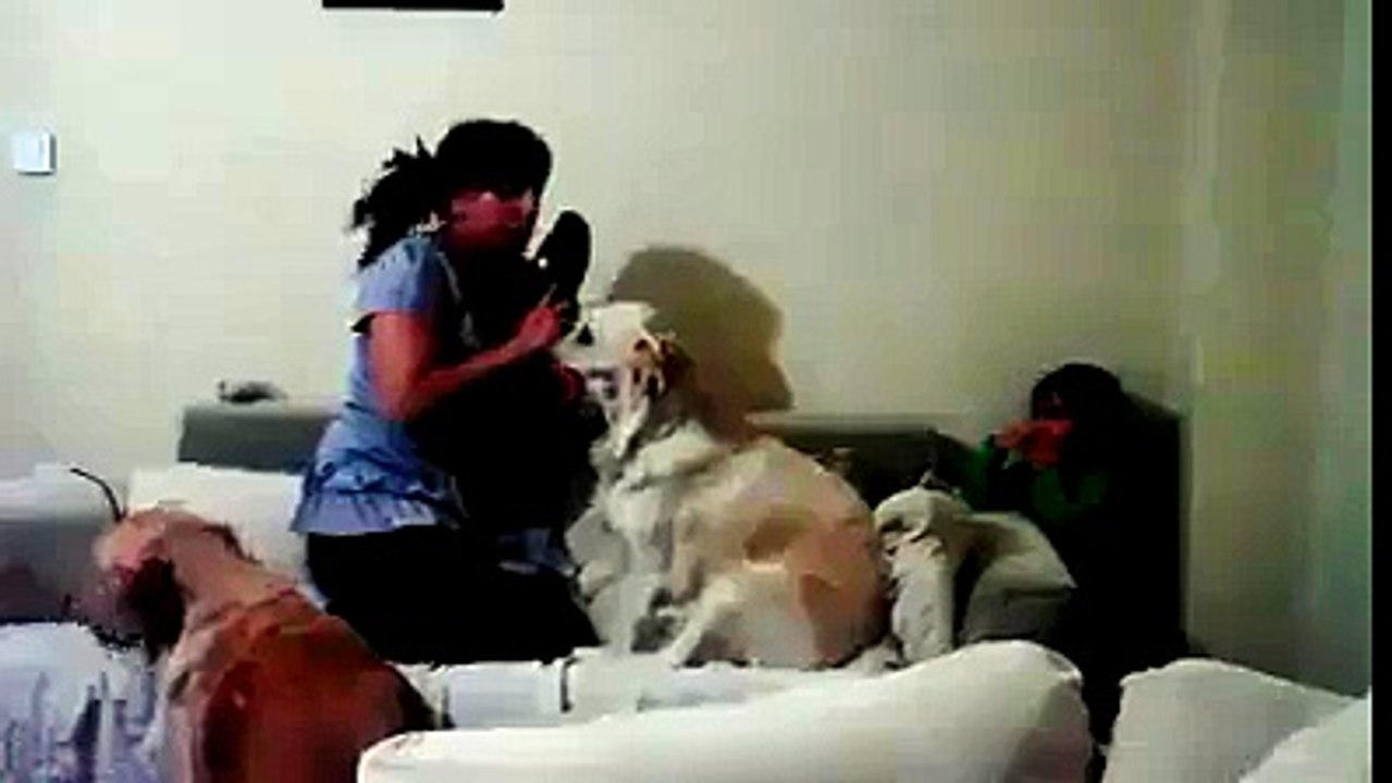 animals love child